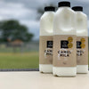 Camels Milk 1L